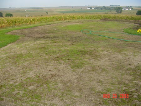 blairwegener3