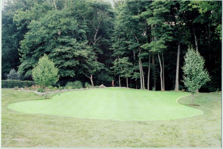 meehan1
